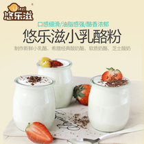 Fruit fishing yogurt fruity powder baby cheese powder Greek cement yogurt ingredients sticky formula Strawberry Mango package