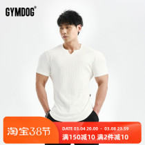 GYMDOG Jim Doug pure color fitness short sleeve clothes mens summer running training elastic speed dry sports T-shirt