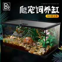 Reptile glass cylinder horned frog Spider lizard snake feeding box crawling rainforest tank water and land tank ecological landscape tank