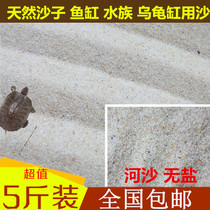 Raise turtle sand turtle egg laying sand laying egg laying special fine sand tortoise hibernation fine sand fish tank turtle sand