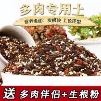 Fleshy soil meat-specific nutrient soil succulent plant special nutrient soil granular soil fleshy soil paving stone