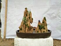 Absorbing stone bonsai water stone ornaments strange stone creative high-grade gift natural humidifier environmental protection formaldehyde