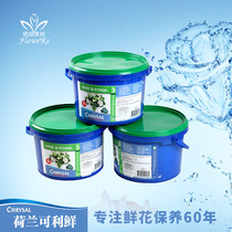 Original import chrysal Holland Fresh Flower Preservative Nutrient Liquid Flower Lily Universal Type