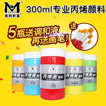 300ml Acrylic pigment Waterproof painting material diy hand-painted painted wall painting Textile pigment set white gold