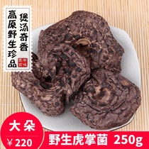 2021 Wild black tiger palm fungus dry goods Yunnan Chuxiong specialty soup mushroom non-fresh roe fungus 250g