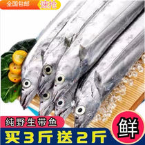 The whole box of fresh fresh live deep sea small eye Belt fish without ice the whole belt fish sea catch 5kg fresh