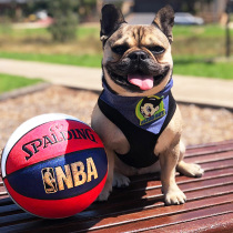 Spalding Basketball No. 7 Leather Hand Sense Student Outdoor lettering Cement Match Blue Ball No. 5 6 Children