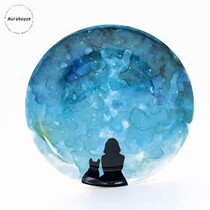 Boutique Aurahouse color plate animal plant plate hanging plate cat decorative plate kitchen plate