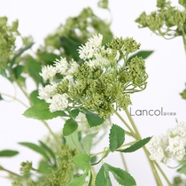 Lancol blue European style French simulation flower small lace flower White green with grass living room table ornaments