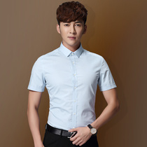 Summer light blue shirt men's Korean slim business dress solid color youth small collar non-iron frock wedding white shirt