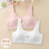 Girls underwear development elementary school students 12 years old children net eye thin cotton small vest girl bra