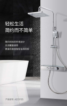 ARROW Wrigley bathroom home set-top shower shower AE33113S descaling rain shower