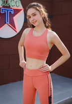 Bio spring yoga wear 21 spring and summer new high-end corset running fitness yoga slim sexy vest