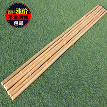 Imported natural with skin agate rattan stick old rattan rod Indonesian rattan rod eyebrow stick Shaolin stick tai chi martial arts rattan stick