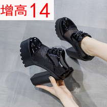 Ultra High Heel Women Boots Summer Net Yarn Slopes Heel Cool Boots Breathable thin Stage Performance Small Thick Bottom 1514cm Short Boots