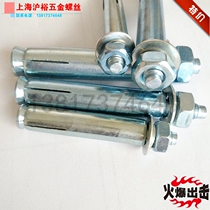 Expansion screw galvanized expansion bolt Iron expansion M12M14M16 * 80*100*120*150*250*300