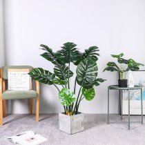 Large turtle back tree bonsai simulation green planting turtle back bamboo indoor living room floor decoration plant ornaments fake potted tree