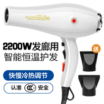 Light Electric Blow RCT9928 High Power 2200w Cold Hot Air Home Hair Salon Silent Thermostatic Hair Dryer
