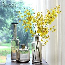 Clear soup sleeper fruit casual Curry long neck glass vase Nordic living room flower arrangement table floral decorative flower Ware