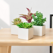 Jiusi simulation succulents small potted living room study desktop ceramic basin decorations ornaments art302