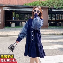2021 Autumn Winter New Light Core Suede Ocean Gas Minus gestation Pregnancy Woman Dress Little Sub Fashion long sleeves Sleeves Dress
