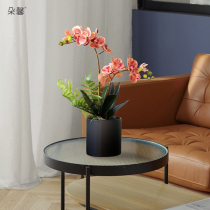 Duoxin Nordic ins light luxury simulation Phalaenopsis potted fake flower living room indoor desktop coffee table decoration flower decoration