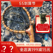 Handmade solid wood stream Small Transcript Internet Yaffly Maguchi Brook Makou Brook trout fishing ultra-minor portable fish Transcript