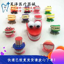 Dental Dental materials Dental jewelry Toys on the chain play jumping teeth printed word Children jumping frog small tooth model