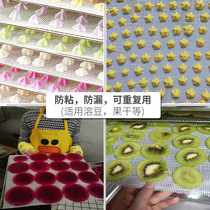 28 5*20cm Dried fruit machine net pad dissolved soybean oil cloth dryer Food grade anti-stick silicone pad net pad reuse