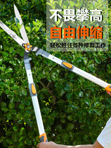  Extended telescopic knife shears high-altitude saw knives pruning shears Longan shears with professional telescopic cheap branches and branches pruning
