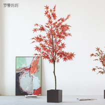 Roman Mother Nordic Wind Emulation Plant Decoration Fake Maple Tree Potted Large Green Plant Indoor Floor Pendulum decoration