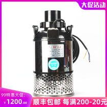 Japan Sichuan waterfront pump energy saving flat push pump QS50 100 300W fish pond circulating pump large flow submersible pump