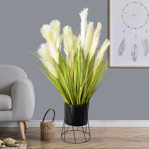 Reed Grass Simulation Flower Dog Tail Grass Living Room Decoration TV Cabinet Swing Piece Dry Flowers Fake Reed Flowers Big Bunch Ground
