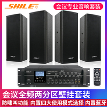 Lion Music AV-106 BX-404 small and medium-sized conference room audio set wood wall speaker amplifier combination