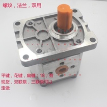  Medium and high pressure gear pump Oil pump CBN-E304 306 310 312 314 316 Hydraulic press station accessories