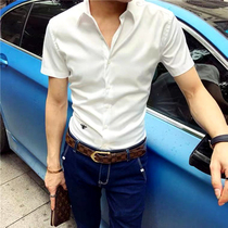 Slim stretch free-hot white shirt mens business casual silk outer wear shirt Little bee embroidery professional formal fashion trend