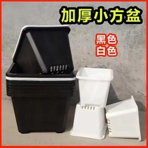 Plastic thickened hard (black white square pan) for raising seedling basin multi-meat basin small bonsai basin breathable old pile basin