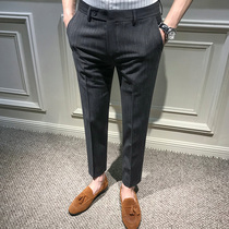 Rich Gui Bird Fine Striped Western Pants Mens Autumn Winter Korean Edition Trend Tooling 90% Pants Business Casual Mens Small Leggings