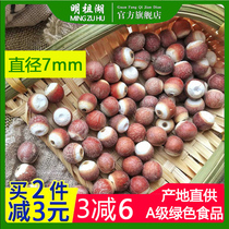 Mingzu Lake Red Skin Fresh Dry Gorgon 500g Chicken Head Rice Poyang Lake