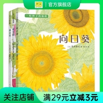 A Seed Journey Set 3 Books Sunflower Touch Buffalo Dandelin Golden Apple Award Plant Observation Entry Close to Mother-language Primary School Student Rating Bibliography Read Book of Kids Love