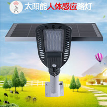 Engineering model human body induction solar street light outdoor household High Pole 6 m lamp head rural road super bright garden light