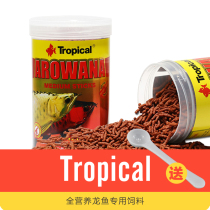 European Tropical Zhuo bike dragon fish special feed Golden Dragon dragon fish food Silver Dragon red dragon fish feed