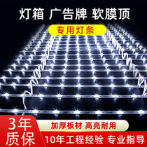 LED Lamp 12V diffuse soft-membrane smallpox Cabrab curtain advertising light box 3030led light source