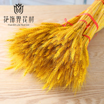 Natural cotton wheat dried flower ornaments home Nordic cotton branch flower art wheat ear open flower basket dried flower