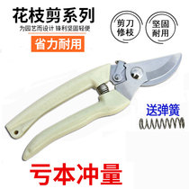  Flower scissors pruning scissors branch scissors gardening scissors thick branch scissors garden scissors fruit tree scissors hardware tools fruit scissors