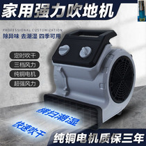 Blow Ground Machine Ground Blow-drying Machine Mute Commercial High Power Hotel Carpet Toilet Floor Dehumidification Cold And Hot Hair Dryer