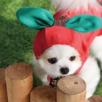 Japanese cotton dog sweater lovers fruit hats sleeveless cat and dog skirt pet sweater small skirt