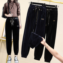2021 autumn new large size gold velvet casual pants female fat sister slim cover hip high waist feet loose Haren pants