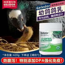 Gleide Dove Drug Young Dove Chick Dove Pigeon Dove Pigeon Dove Pigeon Dove Milk Powder for Fed Plant Milk Powder