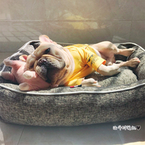 Simple Fashion Fou Bio Bears Snow Nereteddy Dogs Four Seasons Universal Small And Medium Dogs Can Be Removed Wash Pet Nest